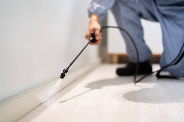 Licensed Termite Control service in St. Michaels, MD - Show Me Pest Control
